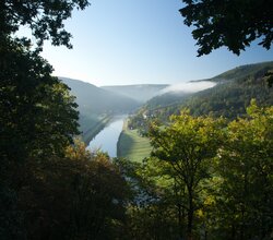 Blick auf das Neckartal bei Eberbach mit Fluss, bewaldeten Hügeln und Nebel in der Ferne, eingerahmt von Baumkronen im Vordergrund | © Ladratsamt Rhein-Neckar-Kreis