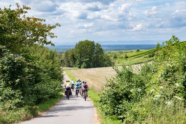 Gruppe von Radfahrern auf einem schmalen Weg zwischen Feldern und Büschen mit Blick auf eine weite Landschaft unter bewölktem Himmel | © Landratsamt Rhein-Neckar-Kreis; Foto Dorothea Burkhardt