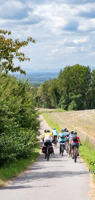 Gruppe von Radfahrern auf einem schmalen Weg zwischen Feldern und Büschen mit Blick auf eine weite Landschaft unter bewölktem Himmel | © Landratsamt Rhein-Neckar-Kreis; Foto Dorothea Burkhardt