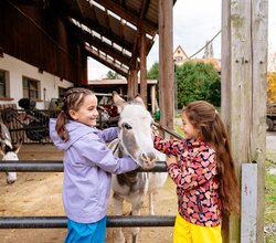 Zwei Kinder streicheln einen Esel in einem offenen Stall mit einem weiteren Esel im Hintergrund. | © Landratsamt Rhein-Neckar-Kreis; Foto Sebastian Weindel
