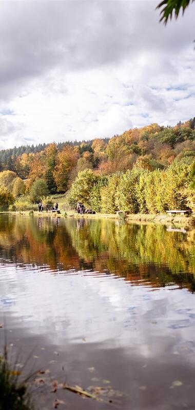 See mit Spiegelung von Bäumen und einem Haus am Ufer unter bewölktem Himmel | © Landratsamt Rhein-Neckar-Kreis; Foto Sebastian Weindel