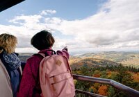 Zwei Personen auf einem Aussichtsturm blicken auf eine herbstliche Waldlandschaft, eine Person zeigt in die Ferne. | © Landratsamt Rhein-Neckar-Kreis; Foto Sebastian Weindel