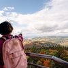 Zwei Personen auf einem Aussichtsturm blicken auf eine herbstliche Waldlandschaft, eine Person zeigt in die Ferne. | © Landratsamt Rhein-Neckar-Kreis; Foto Sebastian Weindel